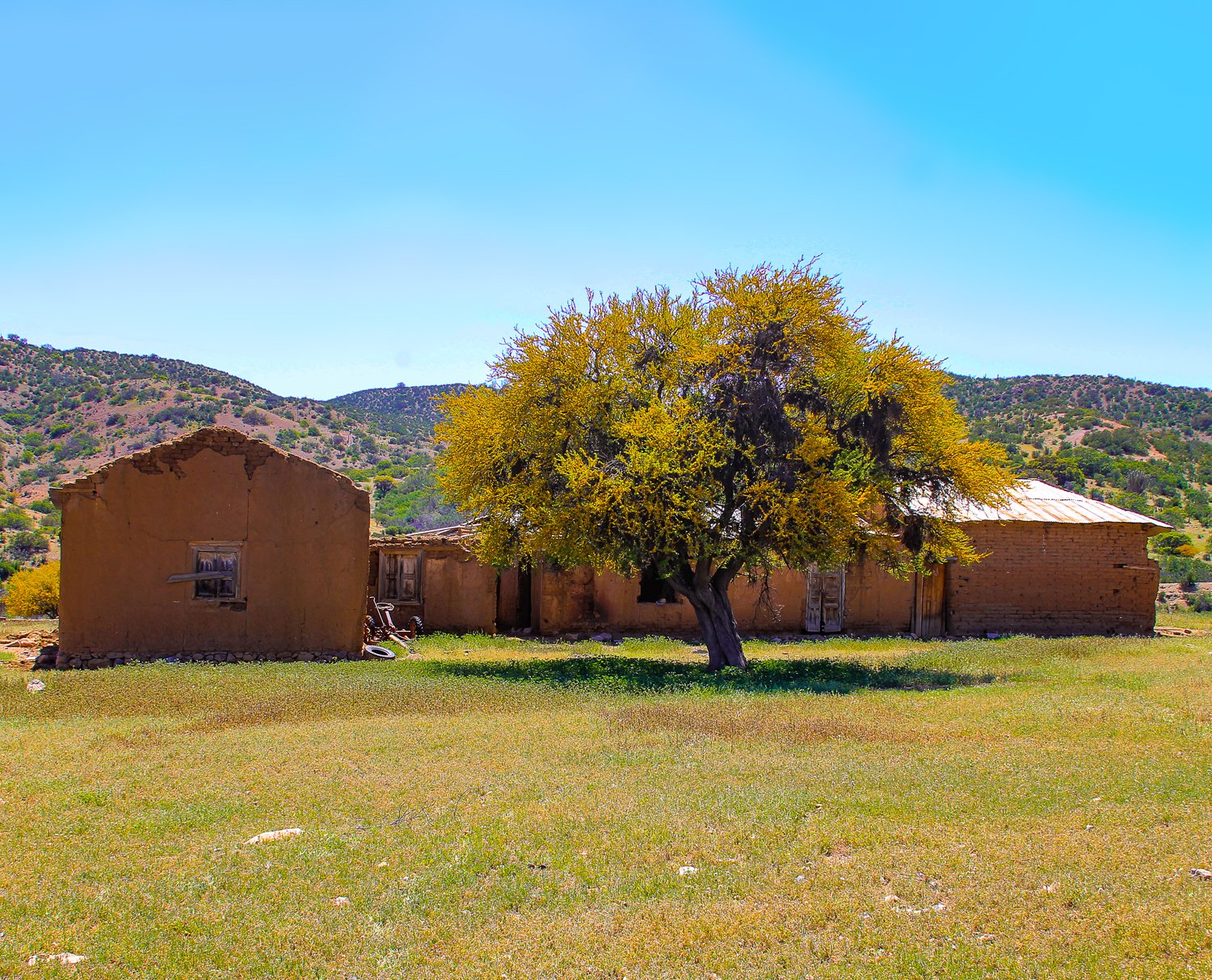 Parque Hacienda El Durazno, Canela, Región de Coquimbo