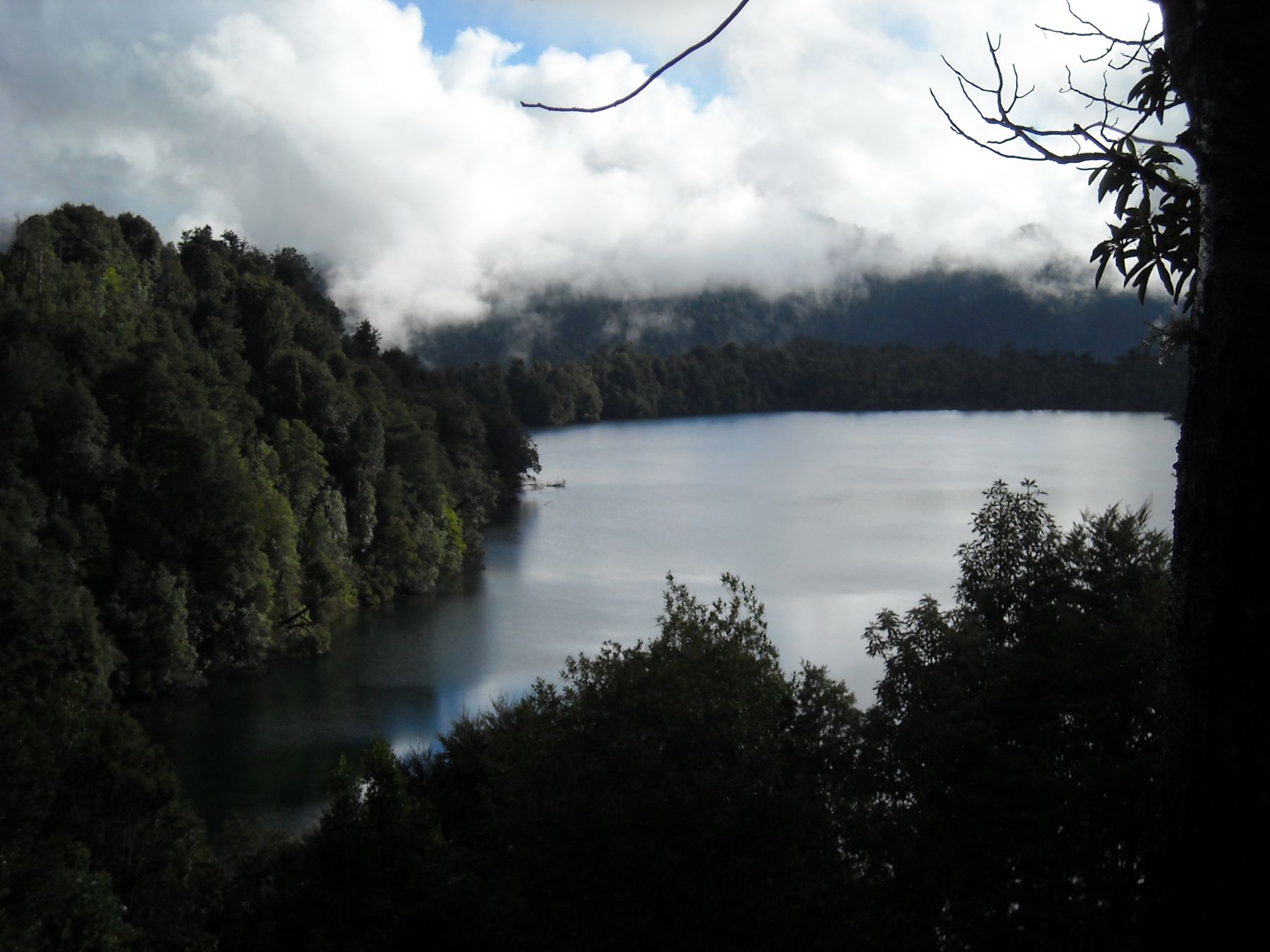 Lago entre bosque y neblina