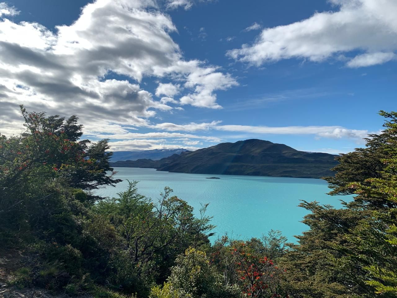 Lago turquesa rodeado de bosque nativo, Patagonia