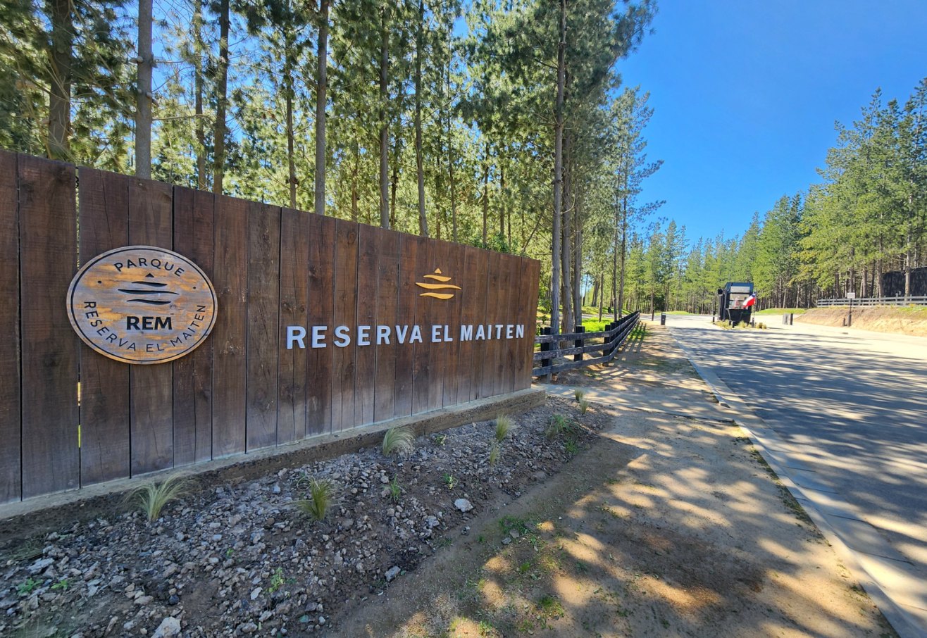 Acceso a Reserva El Maitén entre bosques