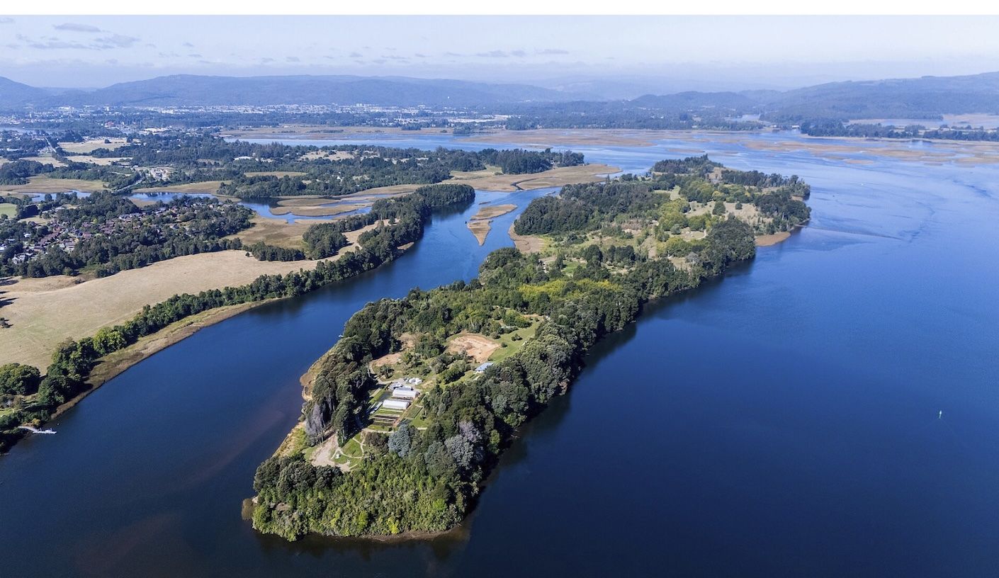 Isla con bosque nativo en un río, vista aérea