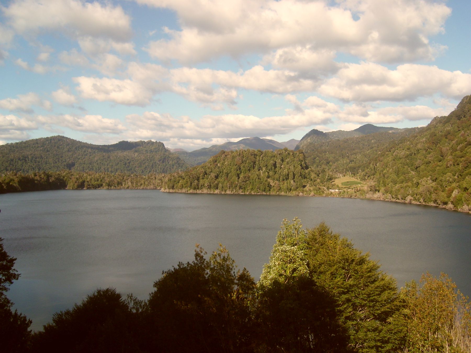 Lago y cerros con bosque